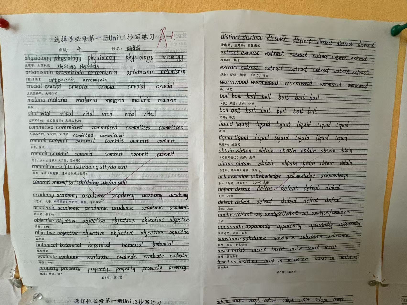 BOBty综合体育·(BOB Sport)官方网站